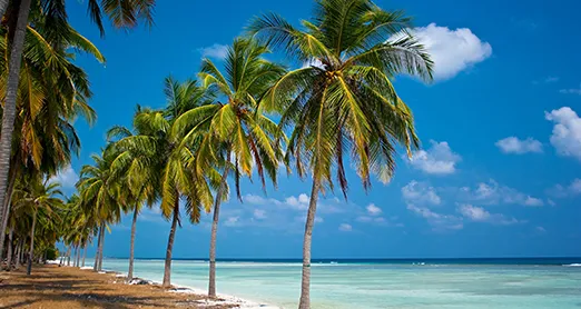 Lakshadweep Islands Cruise